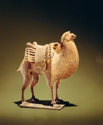 Camel, mid to late 6th century, Northern Wei-Northern Qi dynasty